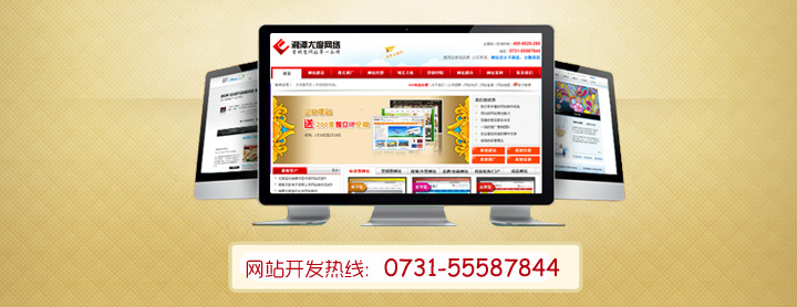 湘潭网站开发